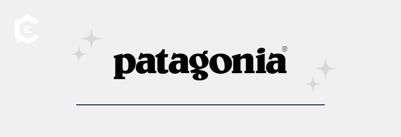 patagonia logo vision mission